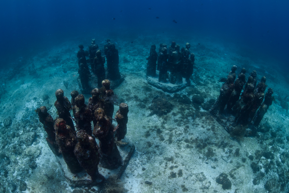 Submerged wonders of the ocean