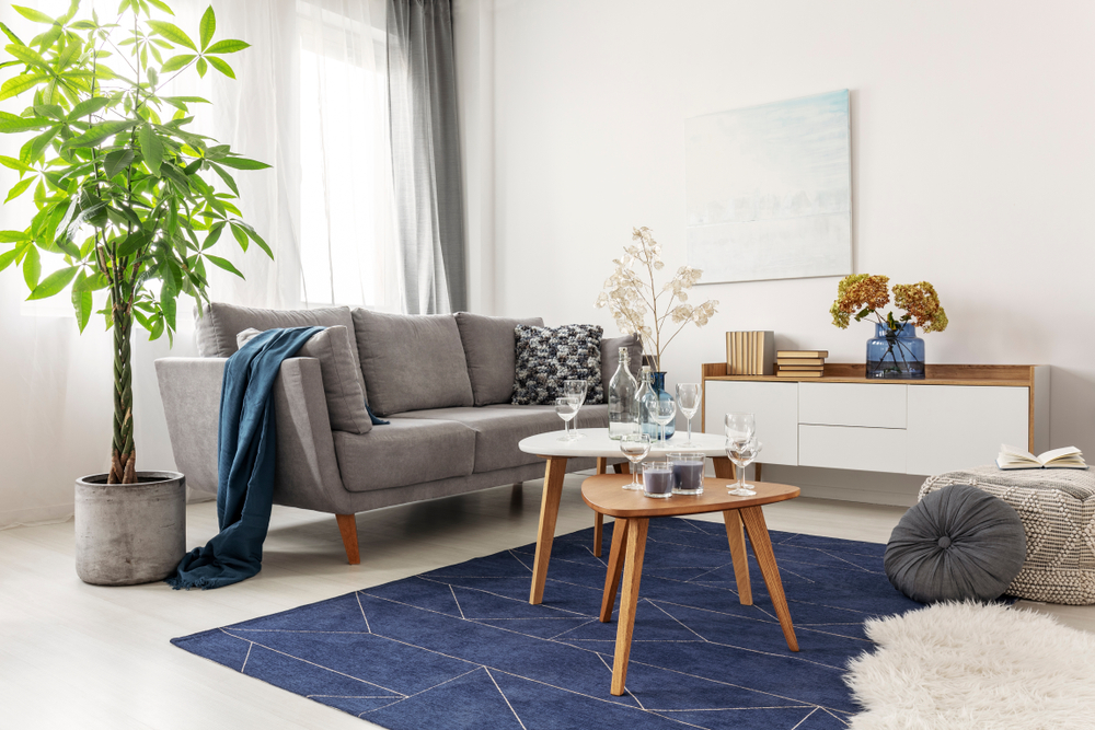 How to choose the best rug for your room?
