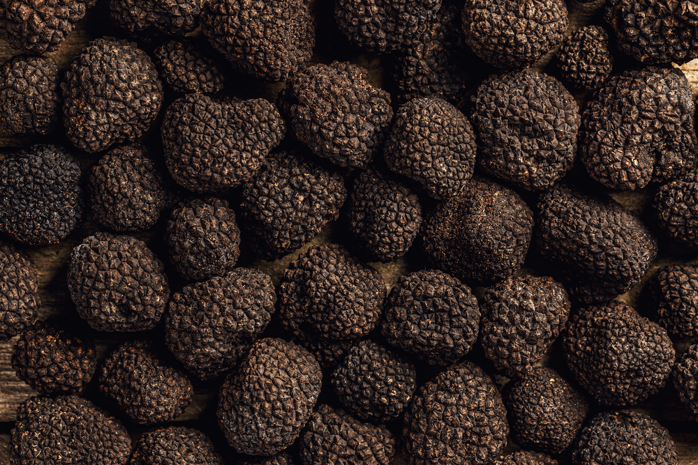 Four Reasons For the Growth of Truffles in Modern Gastronomy